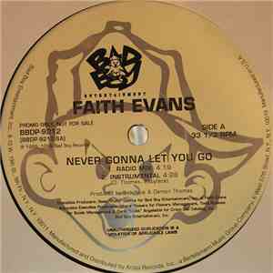 Faith Evans - Never Gonna Let You Go flac album