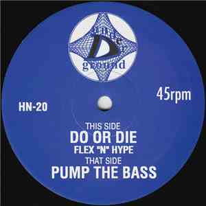 Flex "N" Hype - Do Or Die / Pump The Bass flac album