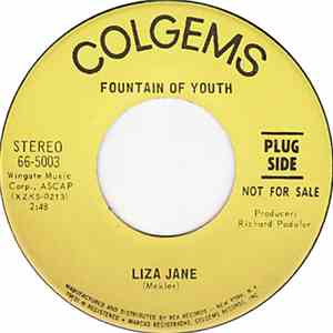 Fountain Of Youth - Liza Jane flac album