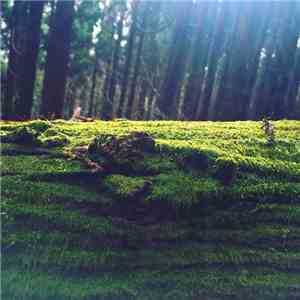 Gallery Six - The Same Old Story flac album