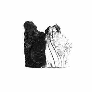 how much wood would a woodchuck chuck if a woodchuck could chuck wood? - Ep III flac album