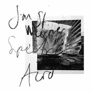 Jan St. Werner - Spectric Acid (Fiepblatter Catalogue #5) flac album