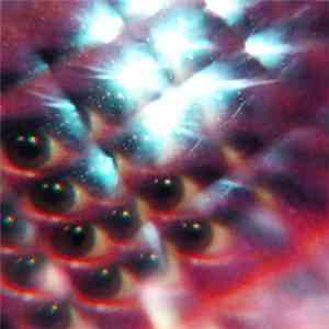 MGMT - Flash Delirium flac album