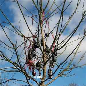 Moby - The Poison Tree flac album