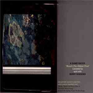 N. Shineywater / Berry Shadows - Reach The Oldest Tree flac album