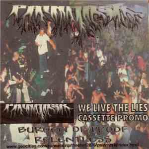 Painmask - We Live The Lies flac album