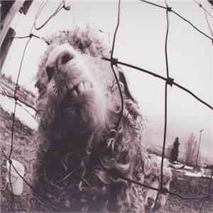 Pearl Jam - Vs. flac album