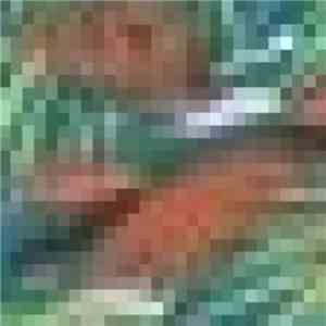 Petrels - Talus Dice / Beyond The High Savannahs flac album