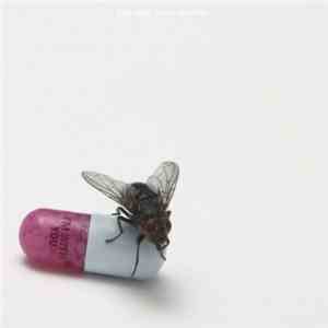 Red Hot Chili Peppers - I'm With You flac album