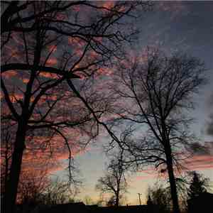 screen door - Allowing The Sun Into Your Home, Only So There Are Shadows To Hide In flac album