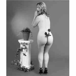 Send In The Idiots - Mmm Naked Librarian flac album