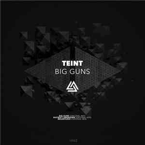 Teint - Big Guns flac album