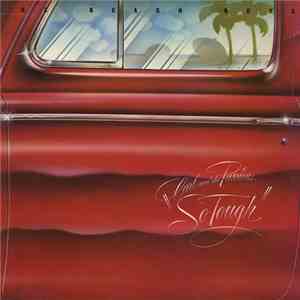 The Beach Boys - Carl And The Passions – "So Tough" flac album