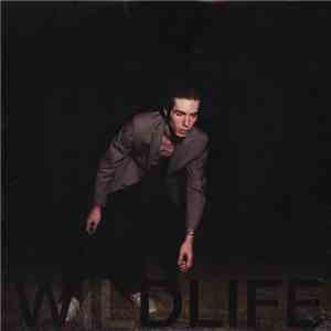 The Icarus Line - Wildlife flac album