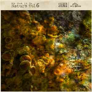 Various - We Got It In Nature Vol.6 flac album