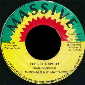 Wailing Souls - Feel The Spirit flac album