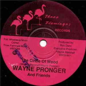 Wayne Pronger And Friends - The Circle Of Wood flac album