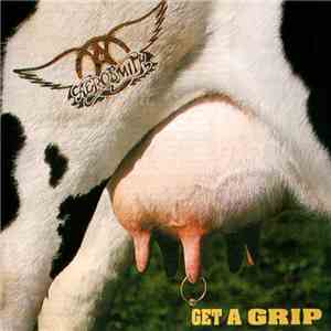 Aerosmith - Get A Grip flac album