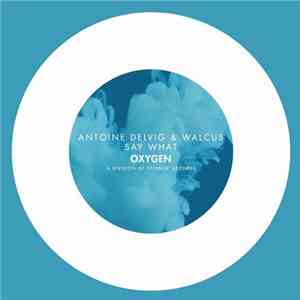 Antoine Delvig & Walcus - Say What flac album