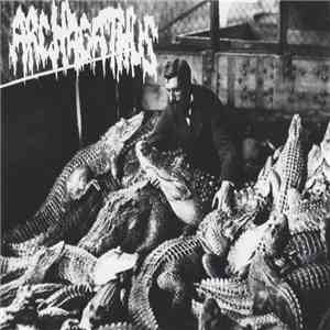 Archagathus / Lt. Dan - Archagathus / Questionable Characters flac album