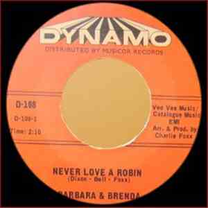 Barbara And Brenda - Never Love A Robin / Sally's Party flac album