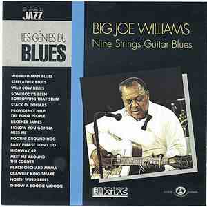 Big Joe Williams - Nine Strings Guitar Blues flac album