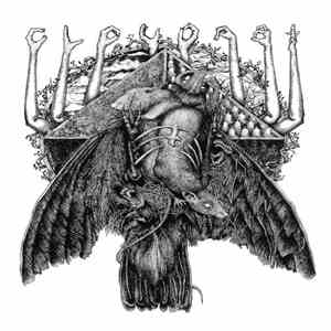 Cloud Rat - 2010-2014 Discography flac album