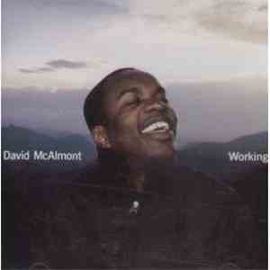 David McAlmont - Working flac album