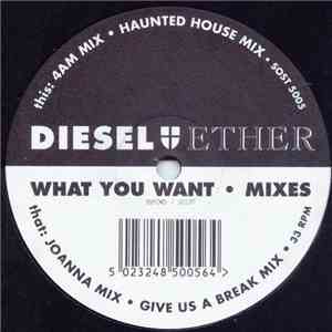 Diesel And Ether - What You Want flac album