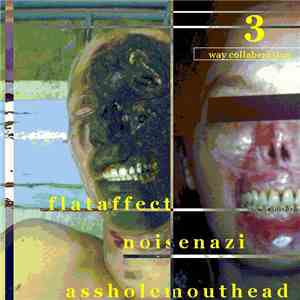 Flat Affect / Noise Nazi / Assholemouthead - 3 Way Collaberation flac album