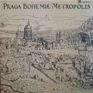 Jaromír Čermák, Karel Šašek, Kamil Bednář - Praga Bohemiæ Metropolis flac album