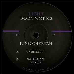 King Cheetah - Endurance flac album