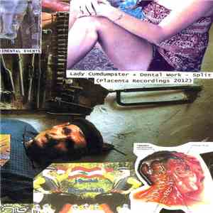 Lady Cumdumpster / Dental Work - Lady Cumdumpster / Dental Work flac album