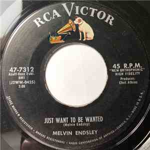 Melvin Endsley - Just Want To Be Wanted / Gettin' Used To The Blues flac album