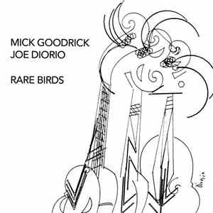 Mick Goodrick, Joe Diorio - Rare Birds flac album