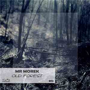 Mr Morek - Old Forest flac album