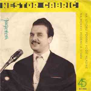 Nestor Gabrić - Na Izvoru Pokraj Vode Hladne / Na Moravi Vodenica Stara flac album