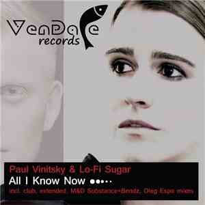 Paul Vinitsky & Lo-Fi Sugar - All I Know Now flac album