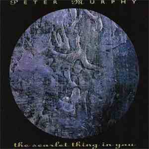 Peter Murphy - The Scarlet Thing In You flac album