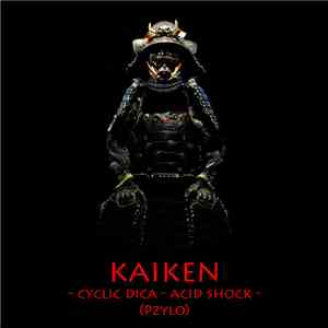 Pzylo - Kaiken flac album