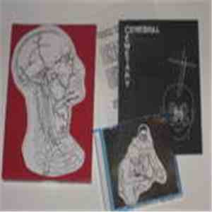 Shearing Pinx - Cerebral Cemetary flac album