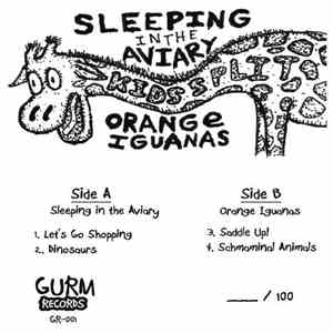 Sleeping In The Aviary, Orange Iguanas - Kids Split flac album