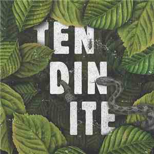 Tendinite - Tendinite flac album