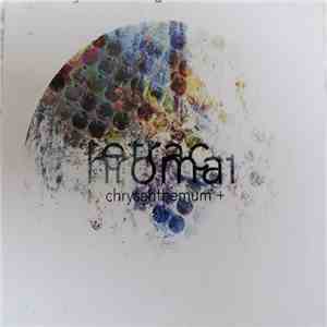 Tetrachromat - Chrysanthemum+ flac album