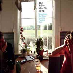 The Tallest Man On Earth - Sometimes The Blues Is Just A Passing Bird flac album
