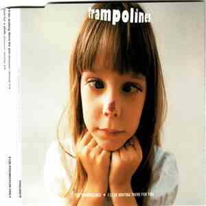 The Trampolines - I'll Be Waiting There For You flac album