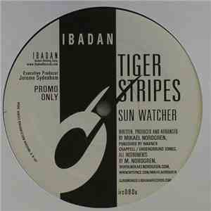 Tiger Stripes - Sun Watcher flac album