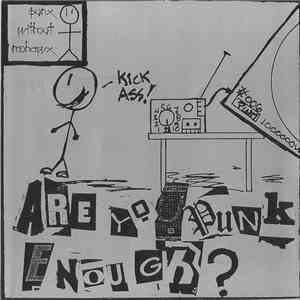Various - Are You Punk Enough? flac album
