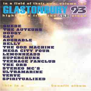 Various - Glastonbury 93 (In A Field Of Their Own Volume Two) (Highlights From The NME Stage) flac album