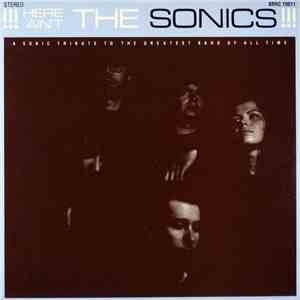 Various - !!!Here Ain't The Sonics!!! flac album